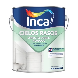 Pintura pint. Cielos Rasos Directo sobre hongos Inca Mate 4L